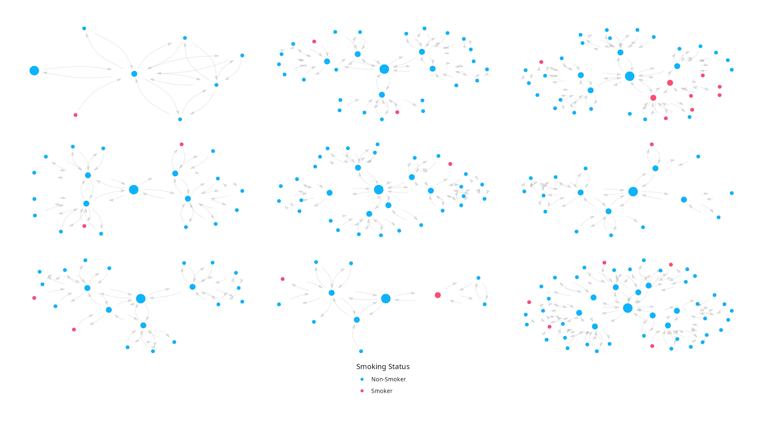 /img/website_egonet_vis/web_ego_nonsmokers_2step.png